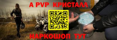 прущие грибы Тверь